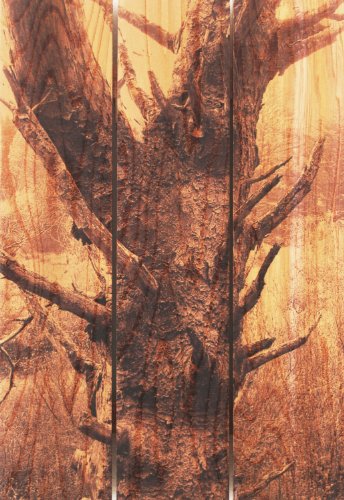 Gizaun Art Still Standing 16-Inch by 24-Inch Inside/Outside Wall Art, Full Color on Cedar