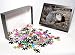 Photo Jigsaw Puzzle of Opossum - CT in March from Ardea Wildlife Pets