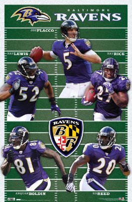(22x34) Baltimore Ravens Team Field Sports Poster Print