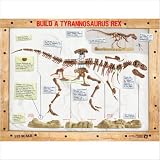 GeoSafari Tyrannosaurus - rex