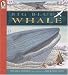 Big Blue Whale Big Book (Read and Wonder)
