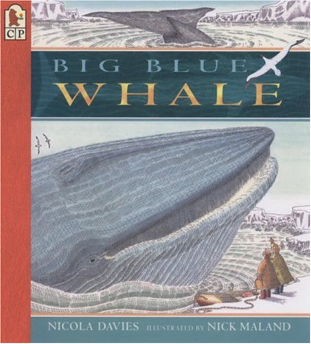 Big Blue Whale Big Book (Read and Wonder)