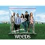 Weeds Season 1