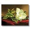 White Magnolia Floral Flower Contemporary Picture Art Print