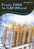 From DNA to GM Wheat: Discovering Genetic Modification of Food (Chain Reactions)