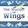 The Wonder Of Wings