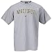 Nike Wake Forest Demon Deacons Ash Classic Logo T-shirt