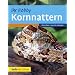 Kornnattern