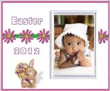 Easter 2012 Daisies - Picture Frame gift