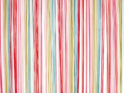 Wanted HY0035 Türvorhang multicolor