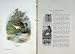 1901 Swaysland Wild Birds Common Snipe Wading Thorburn