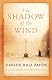 The Shadow of the Wind