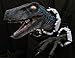 Wall Velociraptor Jurassic World Raptor Prop Replica Park Version 