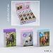 Horses Dreams Radiergummi lila Pferd Friese schwarz