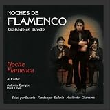 Noches de Flamenco - Noche Flamenca