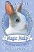 The Invisible Bunny (Magic Molly)