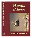 Wasps of Surrey
