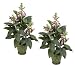 TWO Pre-Potted 26" Artificial Foxglove Flower Plants for Home Decoration_Pink