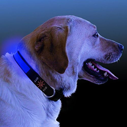 GoCooper USB Rechargeable Flashing Dog Collar, Small, Blue