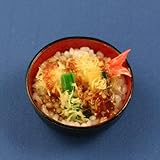 末武サンプル サンプルマグネット 天丼