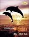 Book MP Introductory Algebra (softcover)