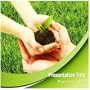 Plant And Soil Powerpoint Template - Plant And Soil Powerpoint (PPT) Presentation