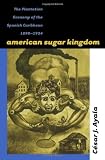 American Sugar Kingdom: The Plantation Economy of the Spanish Caribbean, 1898-1934