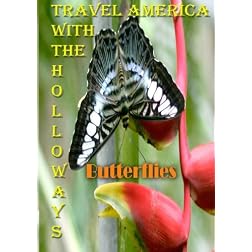 Travel America with the  Holloways - Butterlies