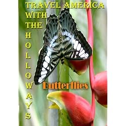 Travel America with the  Holloways - Butterlies