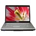 Toshiba Satellite A205-S4597 15.4-inch Laptop (Intel Core Duo Processor T2350, 2 GB RAM, 160 GB Hard Drive, SuperMulti DVD Drive, Vista Premium)