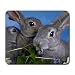 Bunny Rabbits Large Mousepad mouse pad Great Gift Idea
