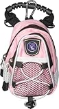 Northwestern Wildcats NWU NCAA Pink Mini Day Back Pack