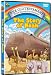 The Story of Noah