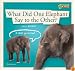 ZigZag: What Did One Elephant Say to the Other? (ZigZag)