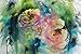 PanPastel Brusho Crystal Colours 15 Gram Olive Green