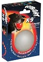 LED Floating Rubber Dog Ball Toy by Nite Ize