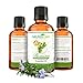 Real Rosemary Essential Oil :: Pure Undiluted (2oz)