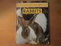 Rabbits (Responsible Pet Care)