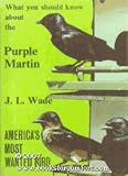 what you should know about the purple martin