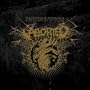 Prolific Murder Contrivance