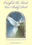 Comfort Us, Lord-Our Baby Died for Families Who Have Experienced the Death of an Infant: A Book of Prayers for Families
