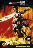 i coltelli del vendicatore / Viking Massacre (Dvd) Italian Import