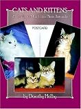 Cats and Kittens: 24 Ready-to-Mail Color Photo Postcards