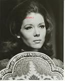 The Avengers Diana Rigg Holding Silver Tray 8x10 Photo AV8004