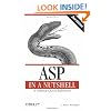 ASP in a Nutshell: A Desktop Quick Reference (In a Nutshell (O'Reilly))