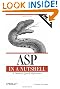 ASP in a Nutshell: A Desktop Quick Reference