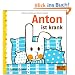 Anton ist krank: Vierfarbiges Pappbilderbuch
