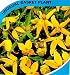 Clematis 20 Seeds - Radar Love