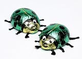 Baur Chocolate Ladybirds - Green 45 g (Pack of 6)
