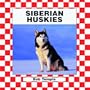 Siberian Huskies (Dogs Set III)